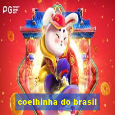 coelhinha do brasil