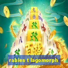 rabies t lagomorph