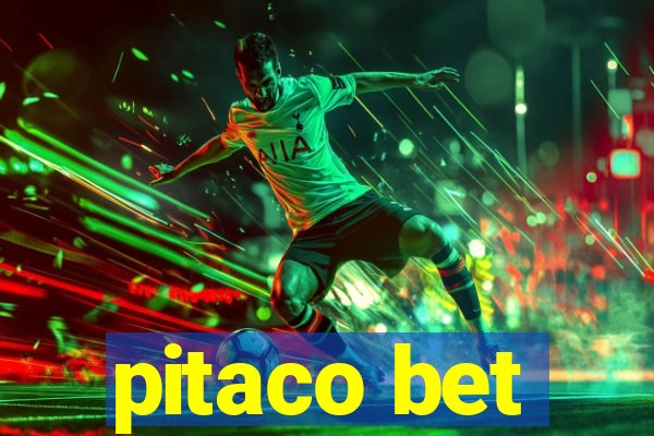 pitaco bet