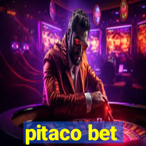 pitaco bet