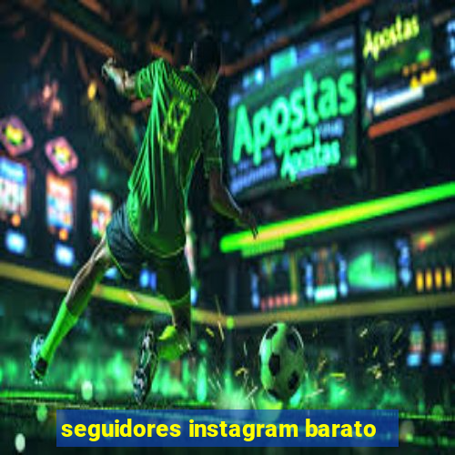 seguidores instagram barato