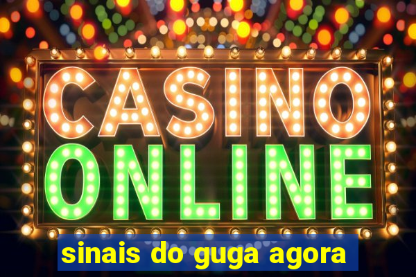 sinais do guga agora