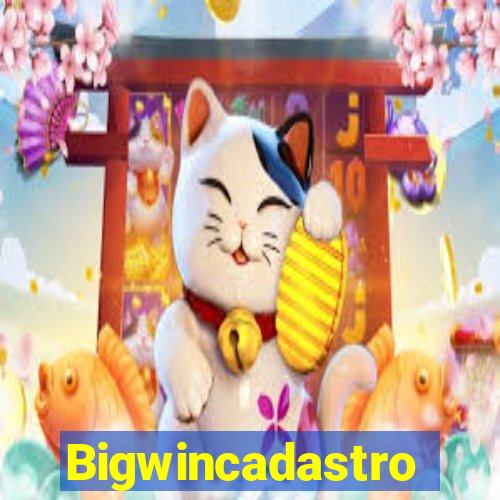 Bigwincadastro