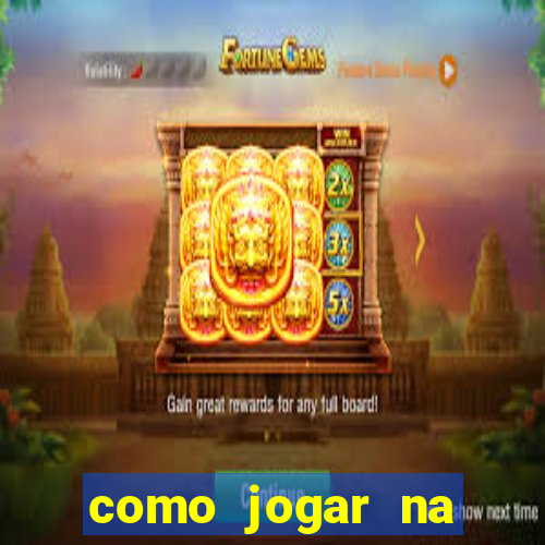 como jogar na lotinha do jogo do bicho