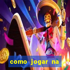 como jogar na lotinha do jogo do bicho