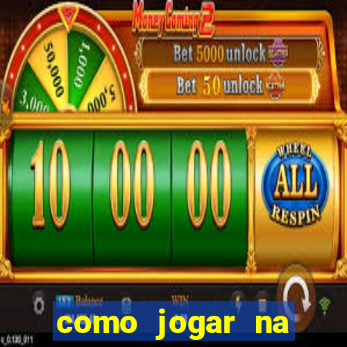 como jogar na lotinha do jogo do bicho