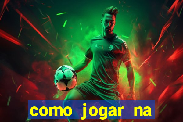 como jogar na lotinha do jogo do bicho