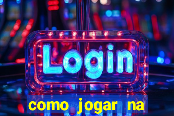 como jogar na lotinha do jogo do bicho