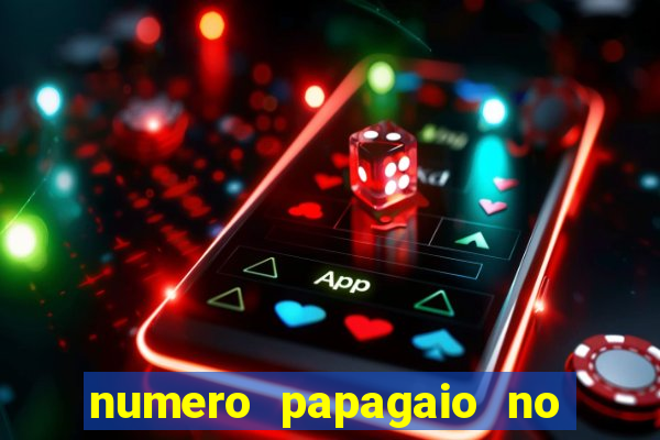 numero papagaio no jogo do bicho