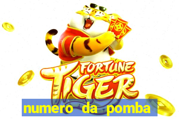 numero da pomba jogo do bicho