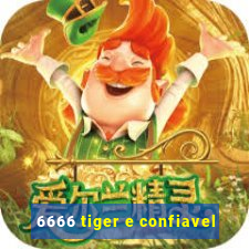 6666 tiger e confiavel
