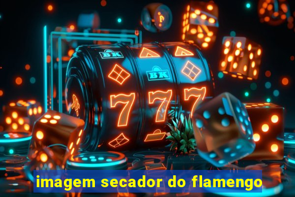 imagem secador do flamengo