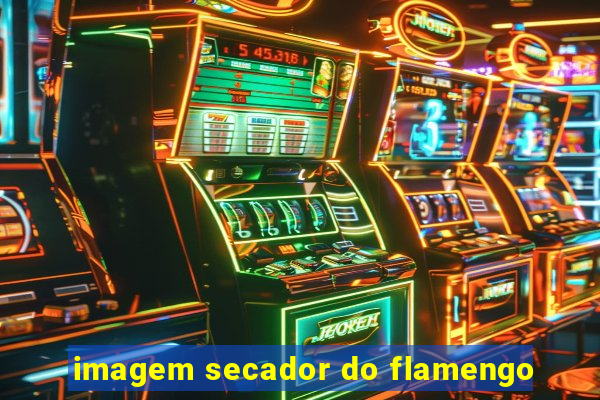 imagem secador do flamengo
