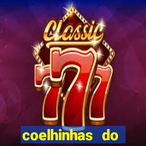 coelhinhas do brasil site