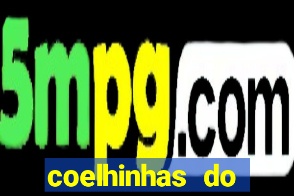 coelhinhas do brasil site