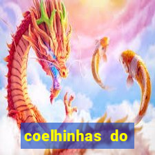 coelhinhas do brasil site