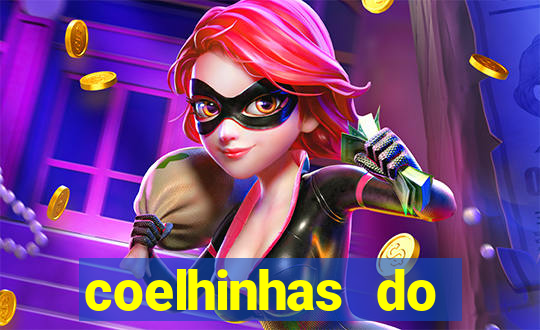 coelhinhas do brasil site