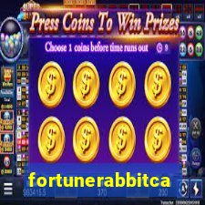 fortunerabbitcasino.online
