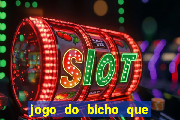 jogo do bicho que paga no pix