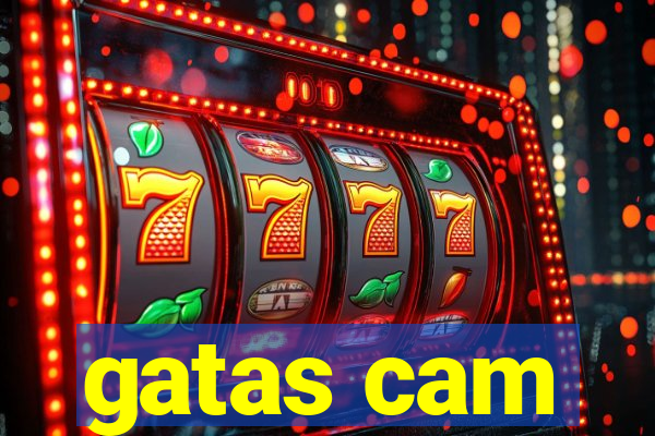 gatas cam