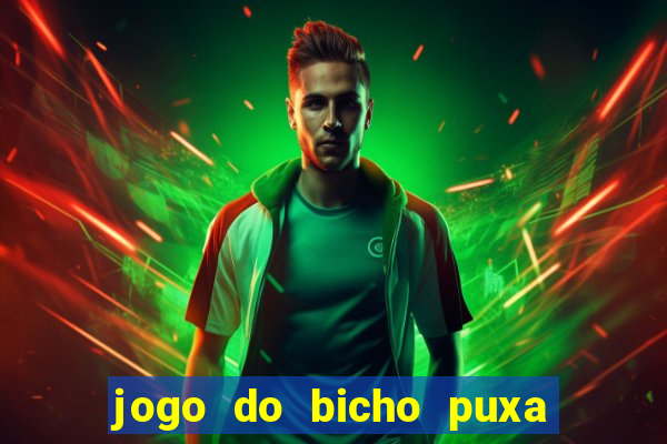 jogo do bicho puxa de dona maria