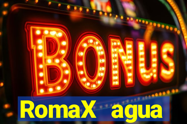 RomaX agua sanitaria fispq agua sanitaria romax