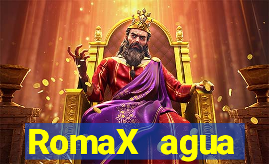 RomaX agua sanitaria fispq agua sanitaria romax