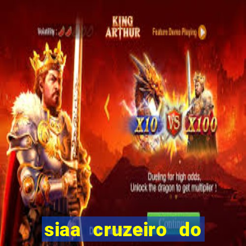 siaa cruzeiro do sul aluno