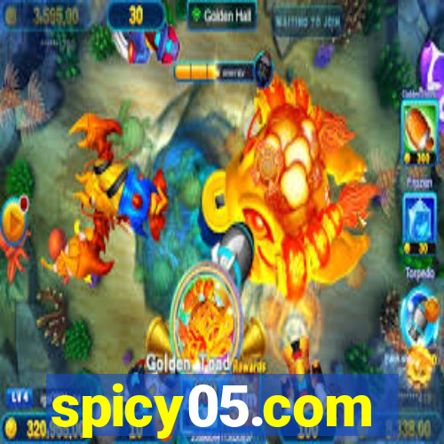spicy05.com