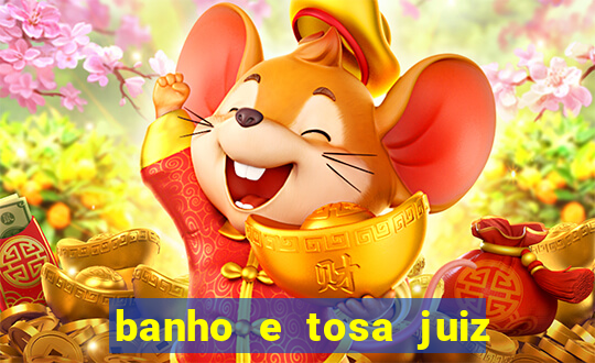 banho e tosa juiz de fora