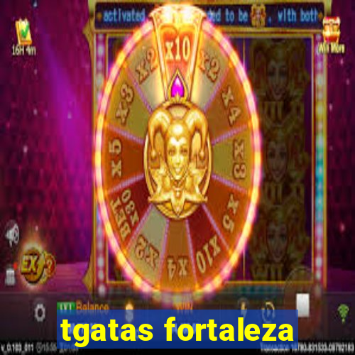 tgatas fortaleza