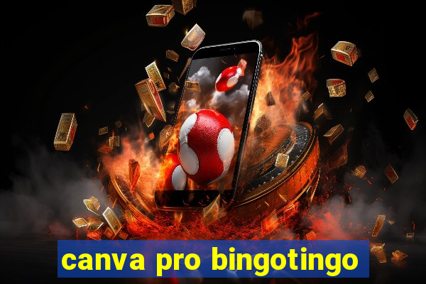 canva pro bingotingo