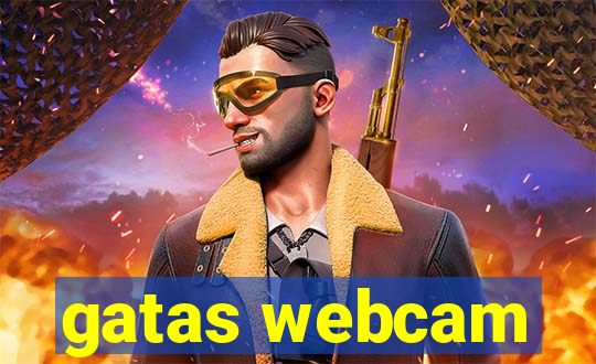 gatas webcam