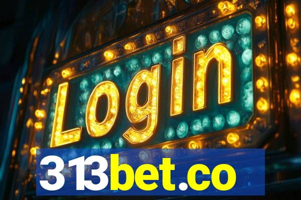 313bet.co