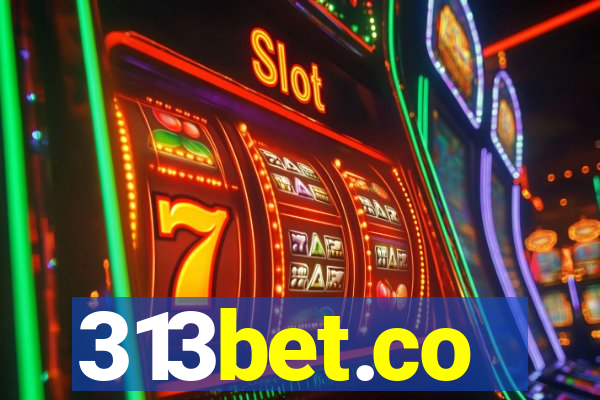 313bet.co