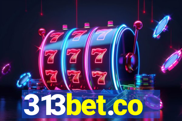 313bet.co