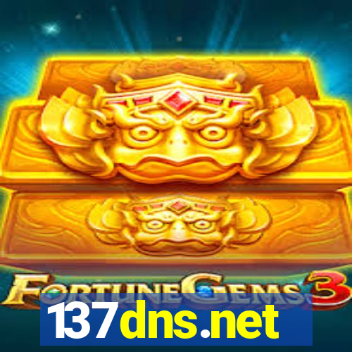 137dns.net