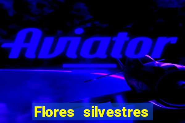 Flores silvestres brasileiras brasileiras flores silvestres nomes e imagens
