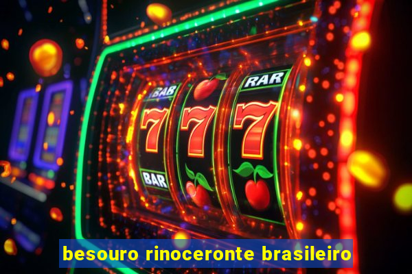 besouro rinoceronte brasileiro