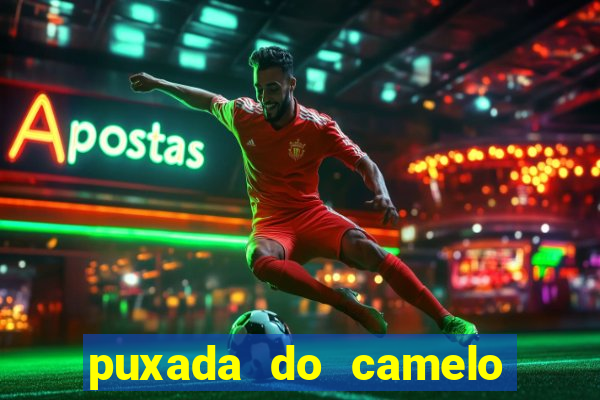 puxada do camelo no jogo do bicho