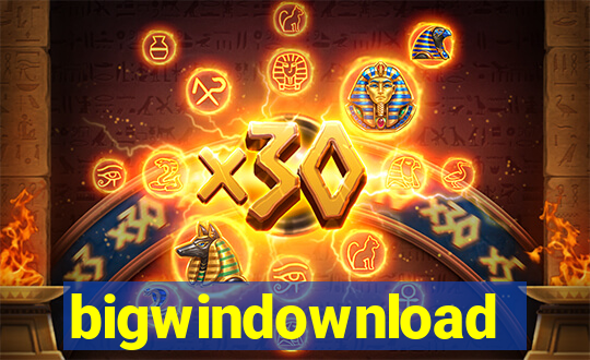 bigwindownload