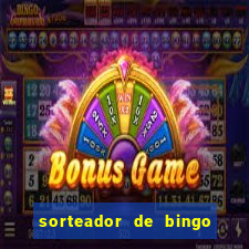 sorteador de bingo 90 bolas online