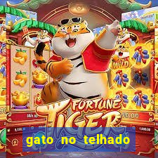 gato no telhado significado espiritual