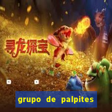 grupo de palpites de futebol telegram