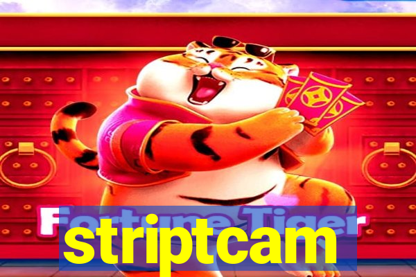 striptcam