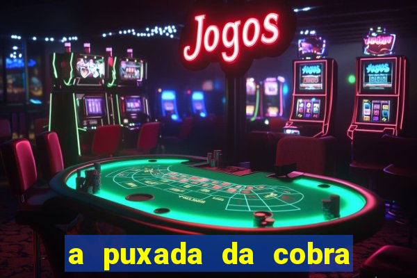 a puxada da cobra no jogo do bicho