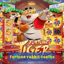 fortune rabbit coelho