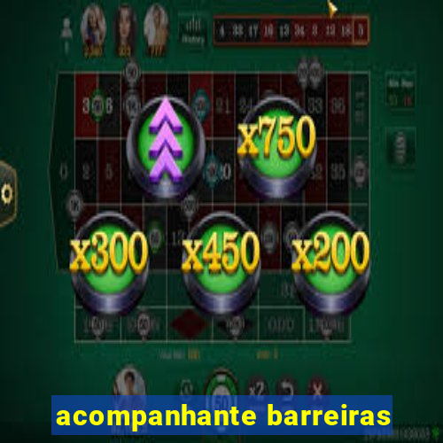 acompanhante barreiras