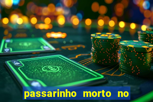 passarinho morto no quintal significado espiritual