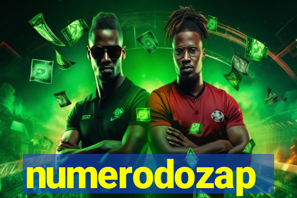 numerodozap